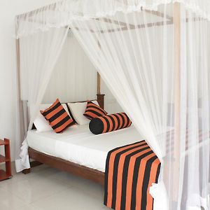 Basic Triple Room